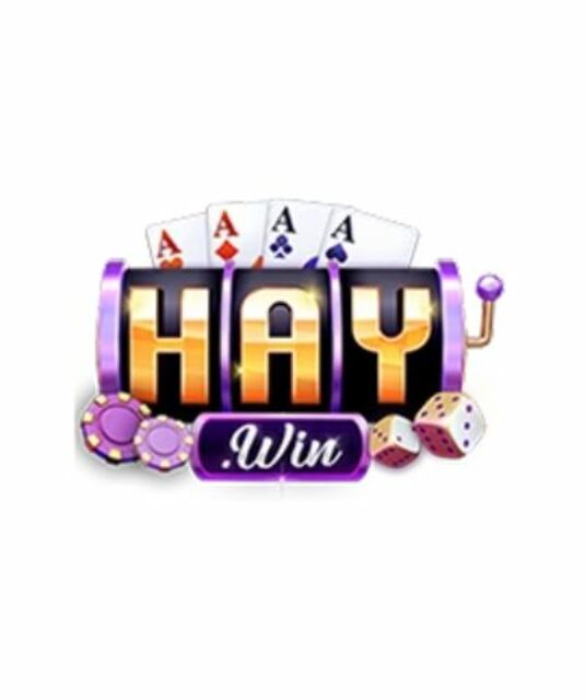 avatar HAYWIN