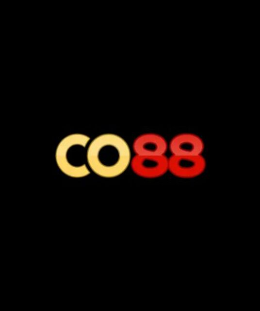 avatar Nhà cái CO88