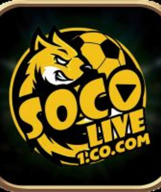 avatar socolive1cocom