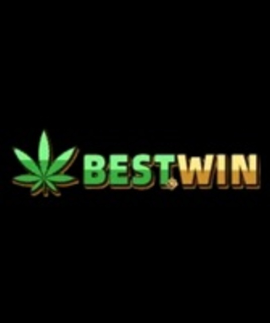 avatar BestWin Casino