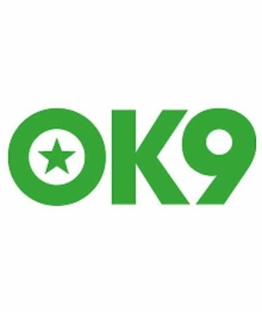 avatar ok9.com Plataforma Oficial