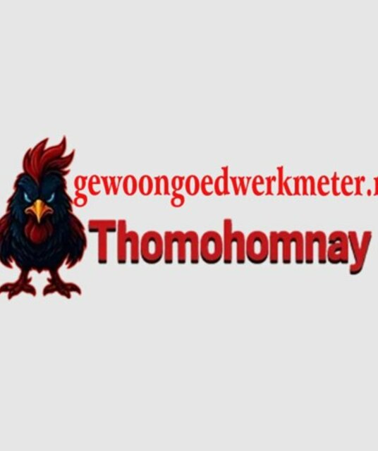 avatar THOMOHOMNAY