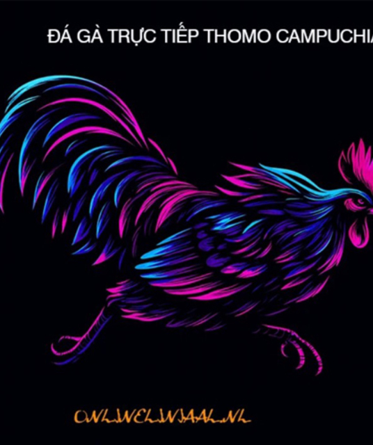 avatar ĐÁ GÀ TRỰC TIẾP ONLINE