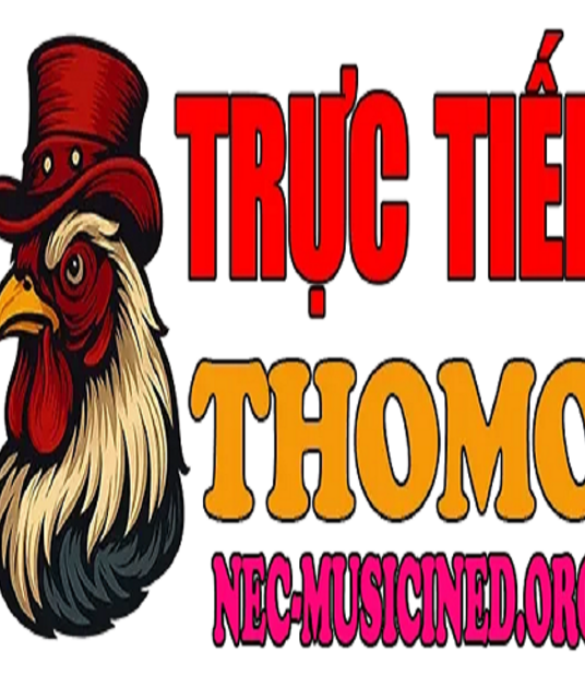 avatar ĐÁ GÀ TRỰC TIẾP THOMO HÔM NAY