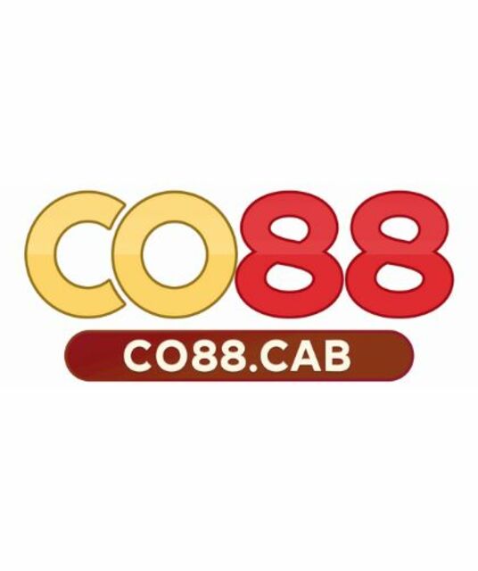 avatar Nhà cái CO88