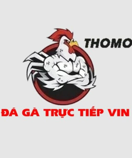 avatar ĐÁ GÀ TRỰC TIẾP VIN