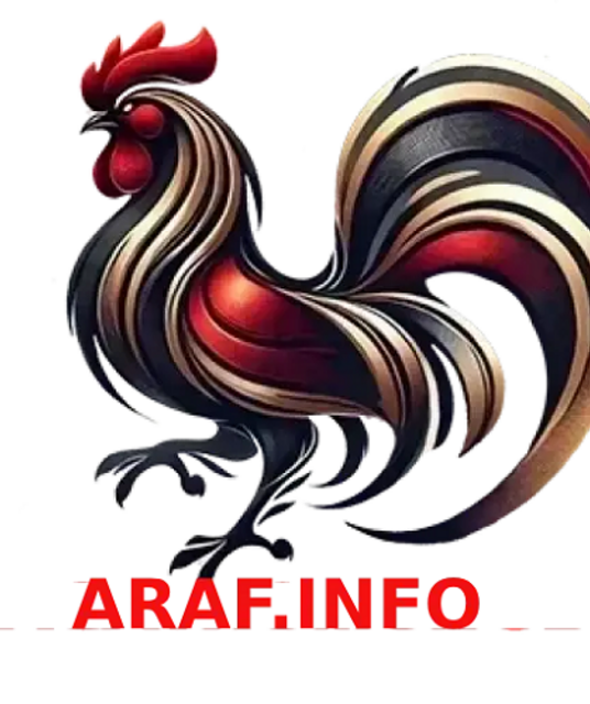 avatar ĐÁ GÀ THOMO