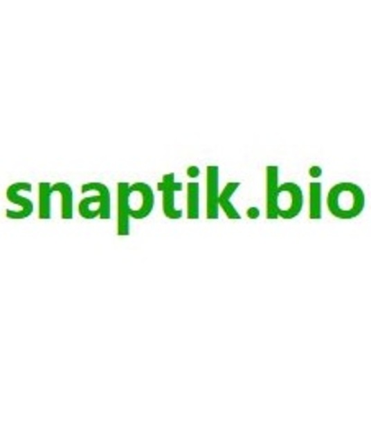 avatar SnapTik