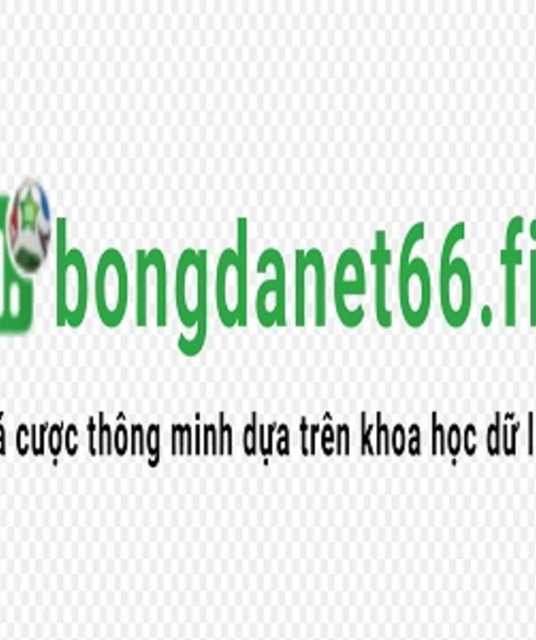 avatar BongdaNET 66 Fit