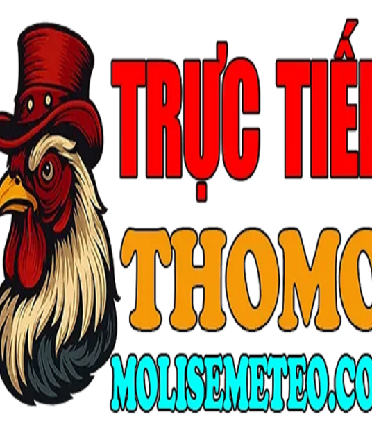 avatar ĐÁ GÀ TRỰC TIẾP THOMO HÔM NAY