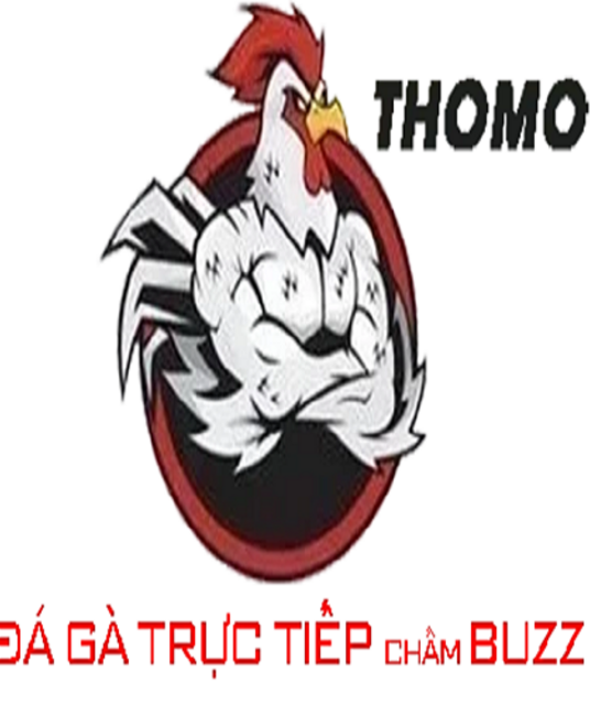 avatar Đá gà trực tiếp
