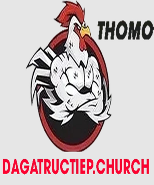 avatar ĐÁ GÀ TRỰC TIẾP