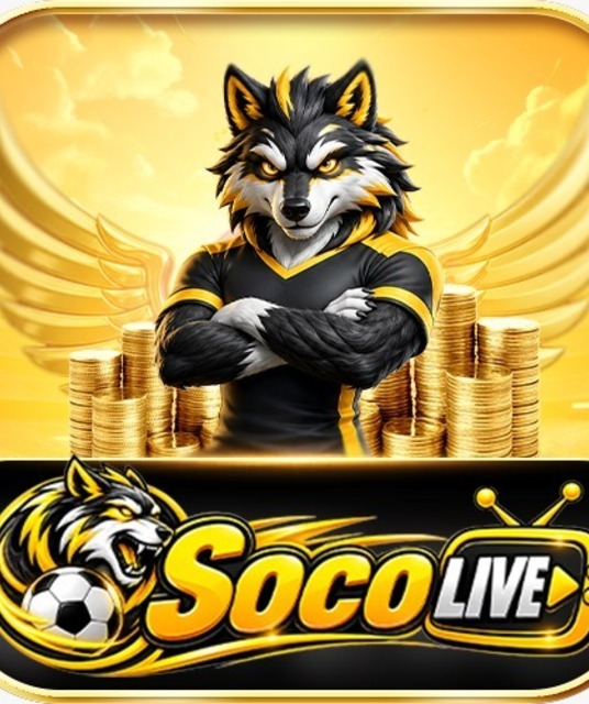 avatar Socolive