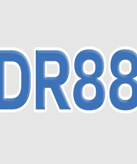 avatar Dr88 day
