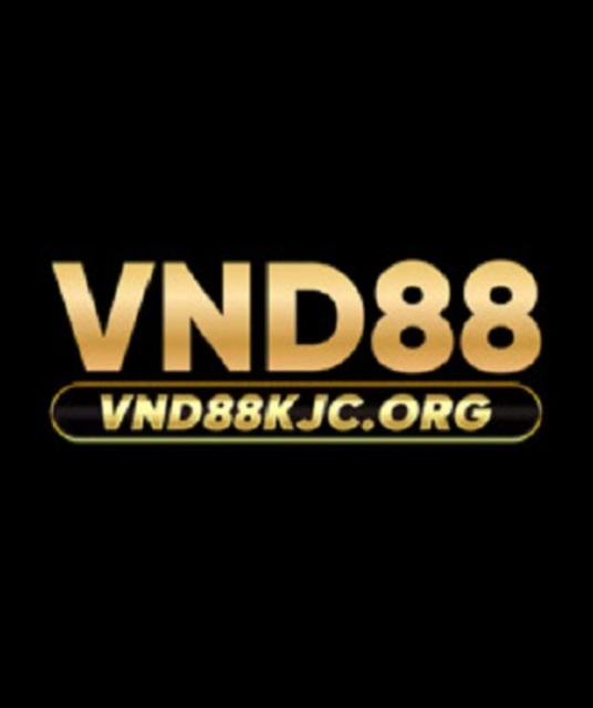 avatar VND88