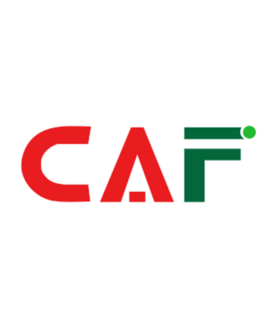 avatar Bảng Giá Dịch Vụ Kiểm Toán - CAF