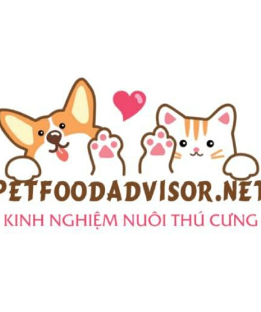 avatar Kinh nghiệm nuôi thú cưng