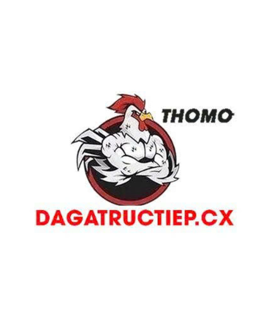 avatar ĐÁ GÀ TRỰC TIẾP CX