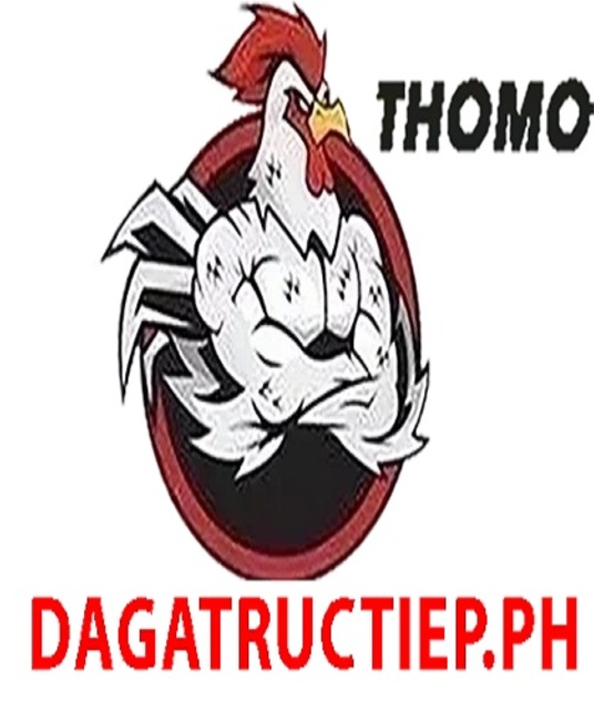 avatar ĐÁ GÀ TRỰC TIẾP PH