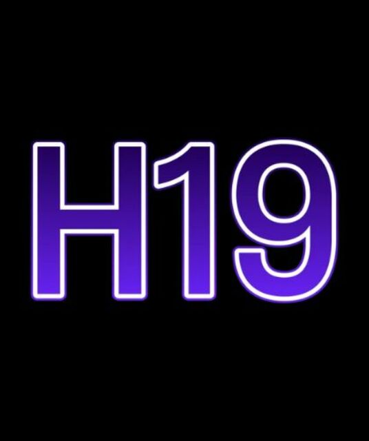 avatar nhà cái h19