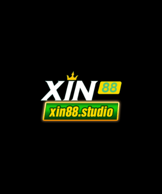 avatar Xin88 studio