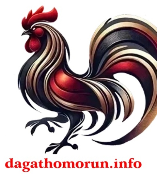 avatar ĐÁ GÀ THOMO