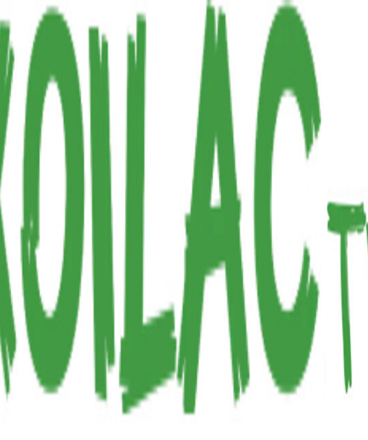 avatar CEO Quang Huy Xoilac