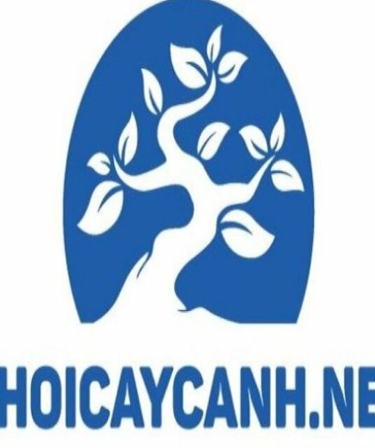 avatar Chơi Cây Cảnh