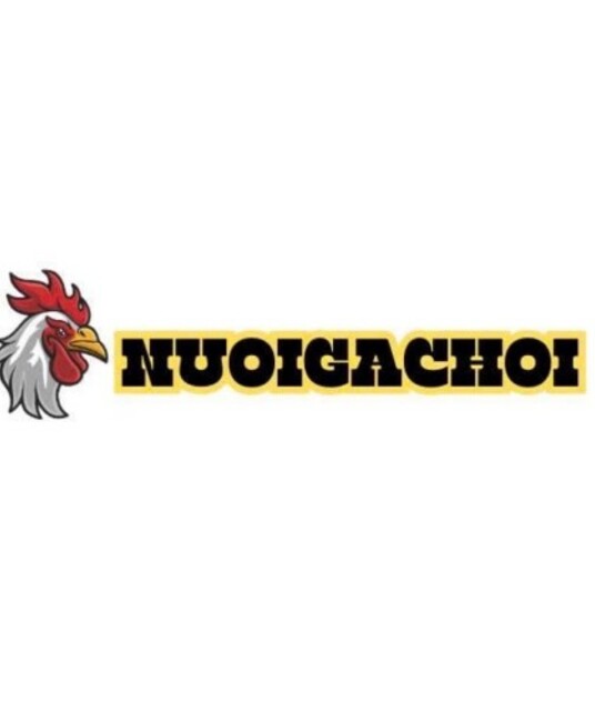 avatar Nuôi Gà Chọi - Nuoigachoi