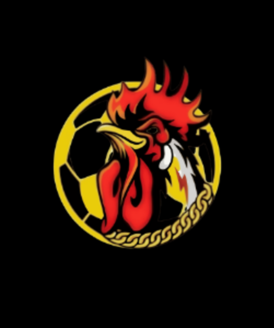 avatar Gavangtvv cc