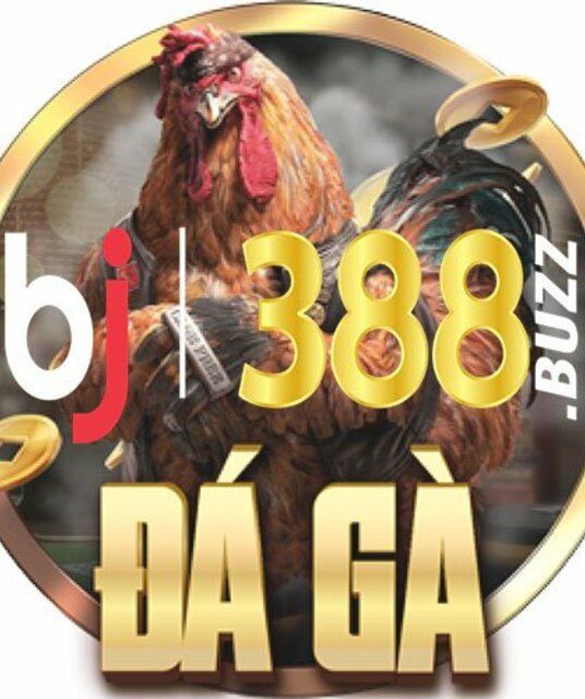 avatar Bj388