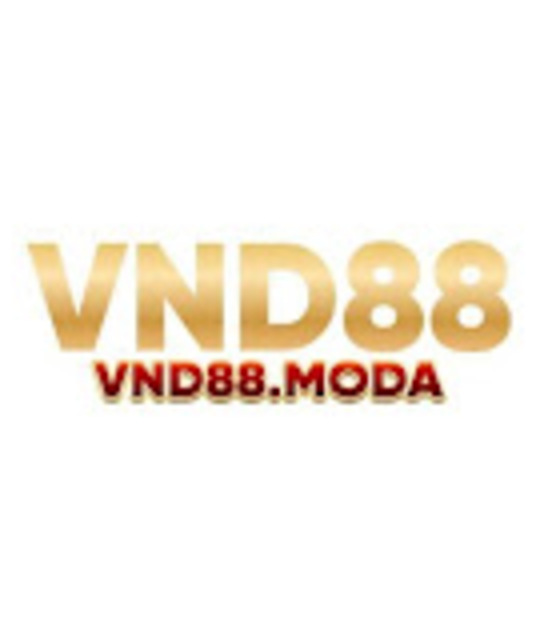 avatar vnd88moda