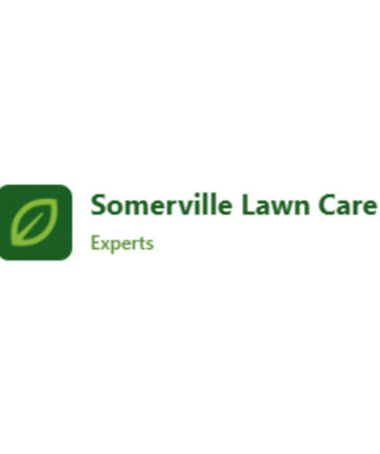 avatar Lawn Care in Somerville