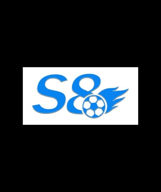 avatar S8