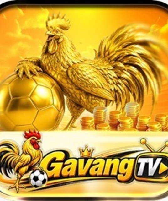 avatar Sân Chơi GAVANGTV