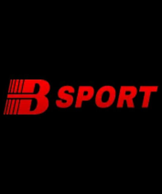 avatar bsportimmo
