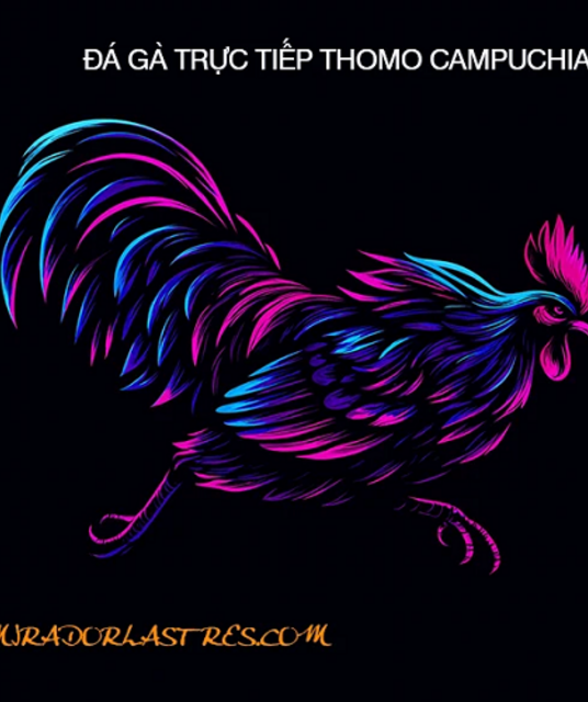 avatar ĐÁ GÀ TRỰC TIẾP THOMO HÔM NAY