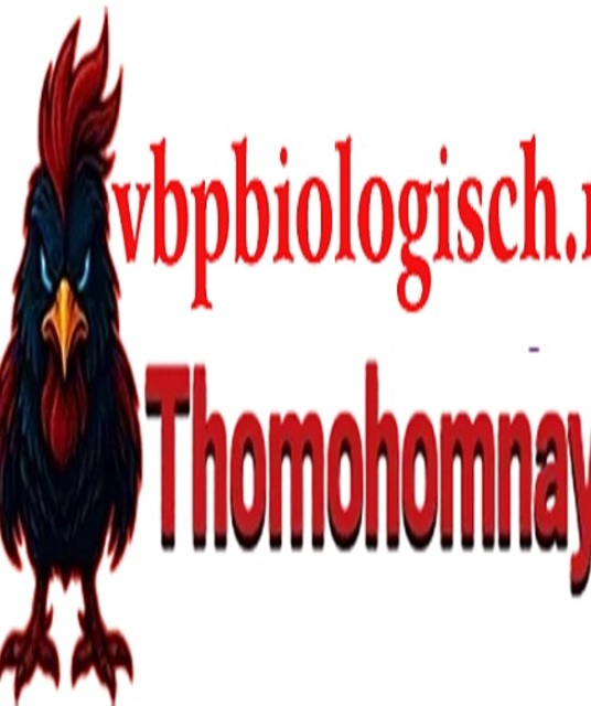 avatar THOMO HOMNAY