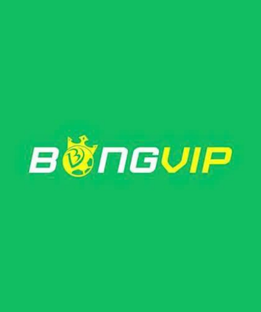 avatar NHÀ CÁI BONGVIP