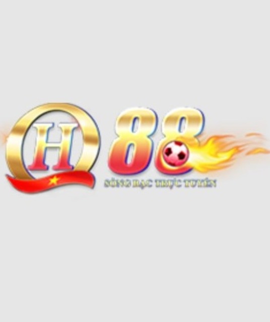 avatar QH88