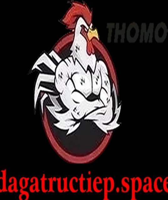 avatar ĐÁ GÀ TRỰC TIẾP SPACE
