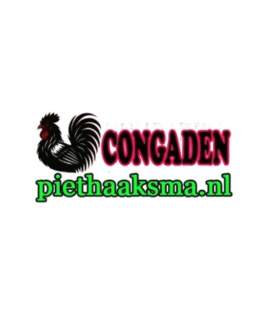 avatar ĐÁ GÀ TRỰC TIẾP PIETHAAKSMA