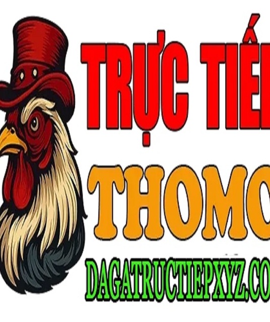 avatar ĐÁ GÀ TRỰC TIẾP XYZ
