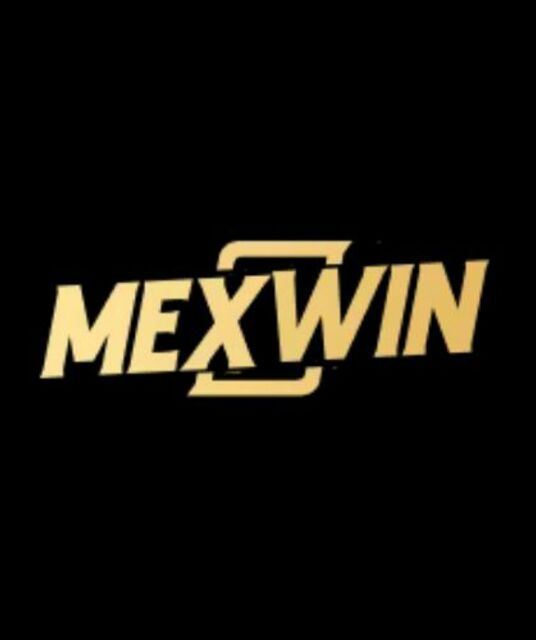 avatar Mexwin llc