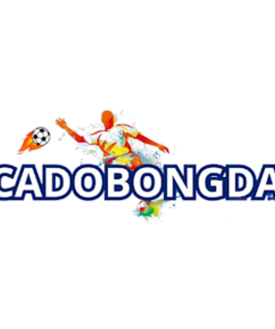 avatar CÁ ĐỘ BÓNG ĐÁ