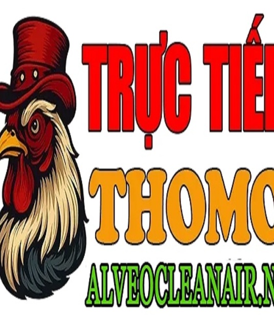 avatar ĐÁ GÀ TRỰC TIẾP ALVEOCLEANAIR