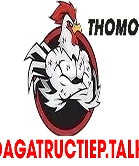 avatar ĐÁ GÀ TRỰC TIẾP TALK