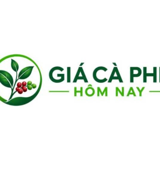 avatar Giá cà phê hôm nay