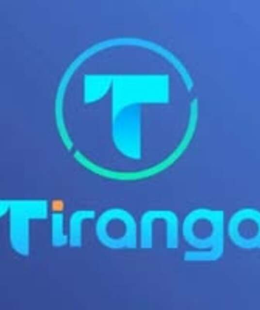 avatar Tiranga Game