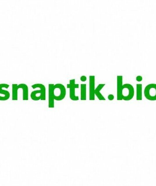 avatar SnapTik – Tải Video TikTok Không Logo